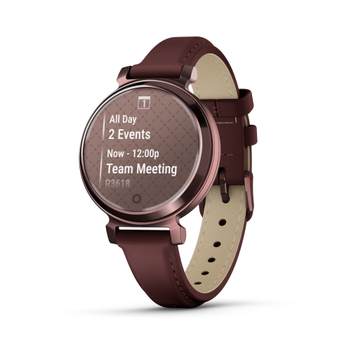 Garmin Lily® 2 Classic Dark Bronze
010-02839-03